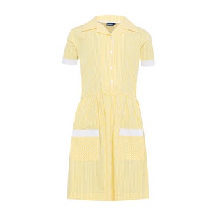 Banner Ayr Gingham Summer Dress-YEWH