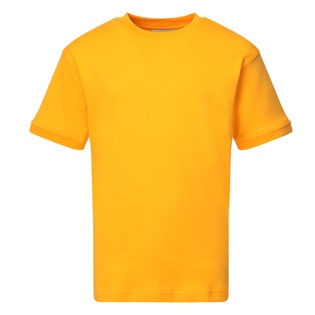 David Luke DL406 T Shirt-AM