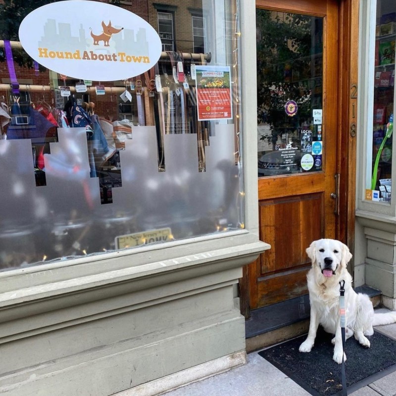 Best Dog Friendly Cafes Jersey