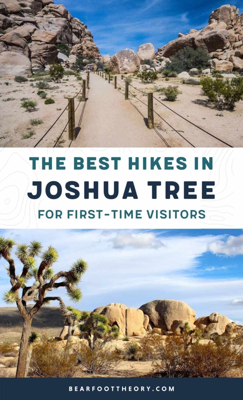 Best Dog Friendly Hikes Joshua Tree