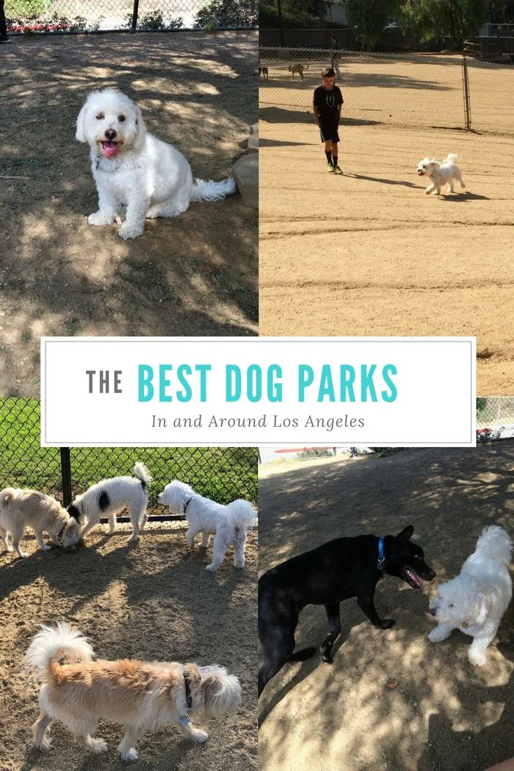 Best Dog Friendly Parks Near Me