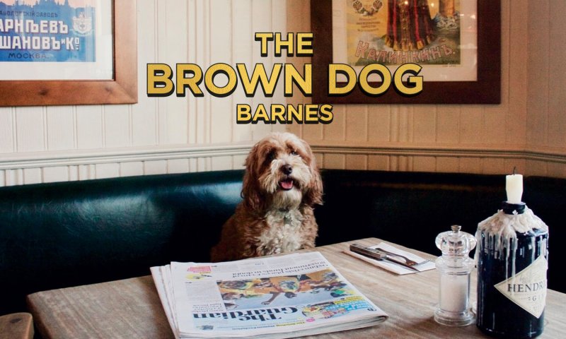 Best Dog Friendly Pubs London