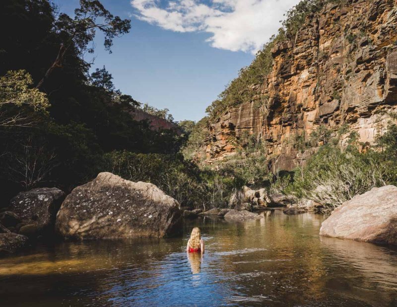 Best Dog Friendly Swimming Holes Near Me