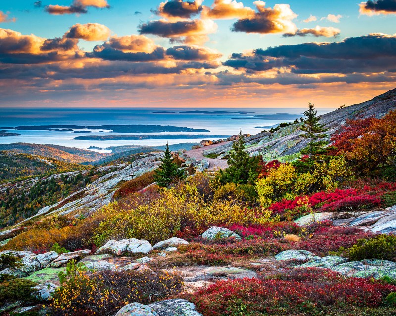 Best Dog Friendly Trails Acadia National Park