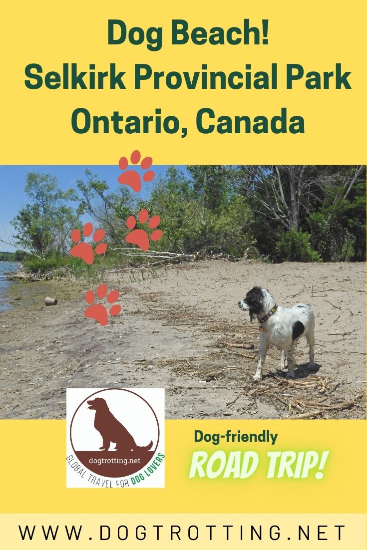 Dog-friendly Day Trips Ontario