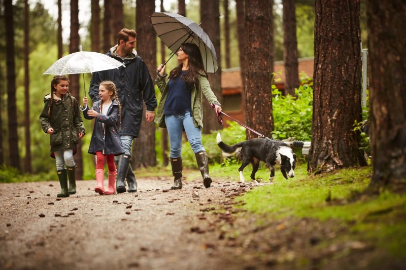 Dog Friendly Forest Holidays