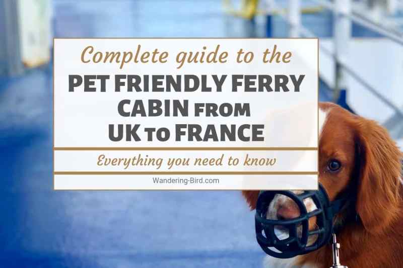 Dog Friendly Holidays To France