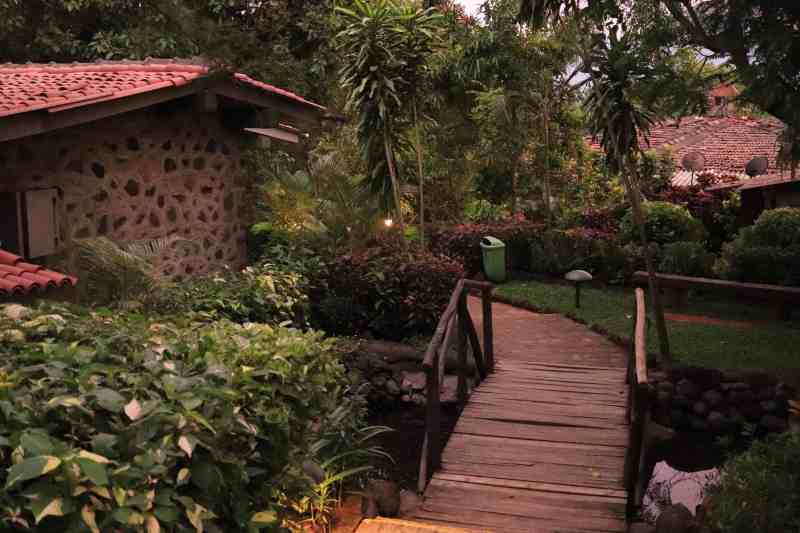 Dog Friendly Resorts Near Mumbai