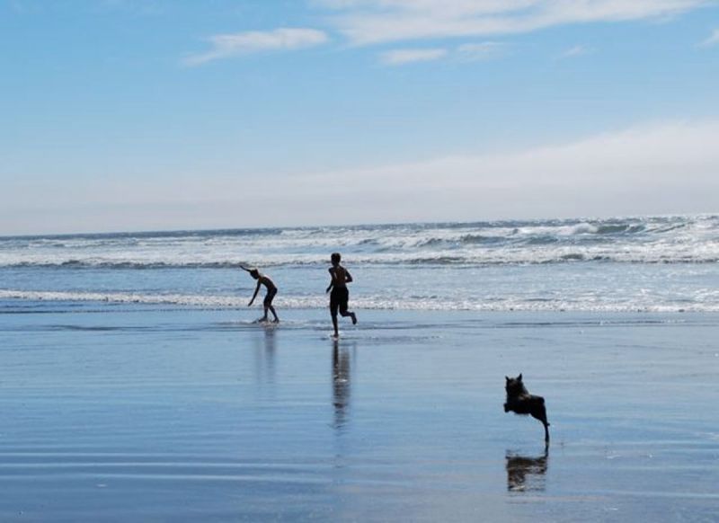 Dog Friendly Vacations East Coast