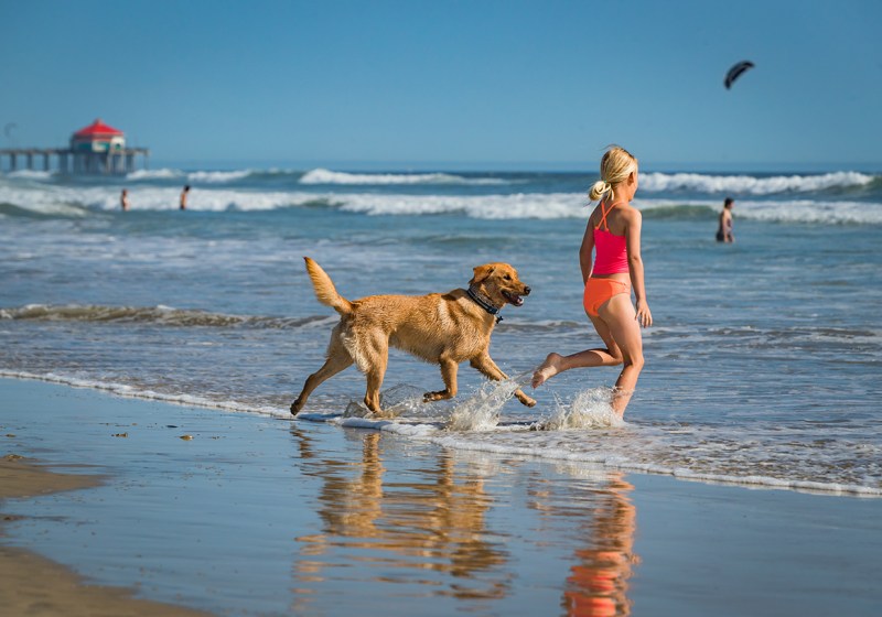 Dog Friendly Vacations West Coast