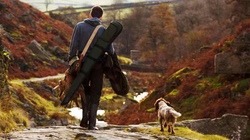 Pet Friendly Places To Go On Vacation