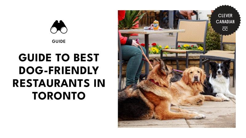 Pet Friendly Places To Visit