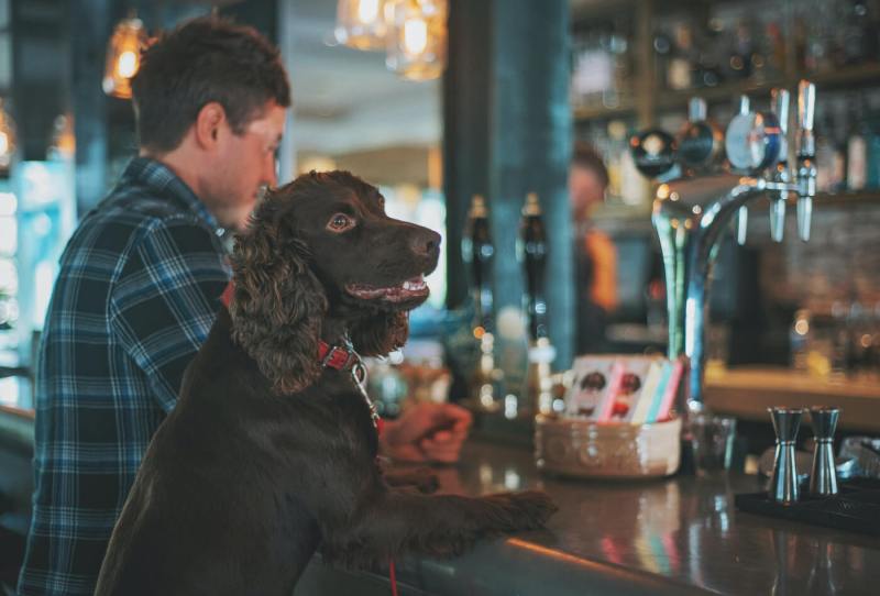 Best Dog Friendly Pubs Yorkshire Dales