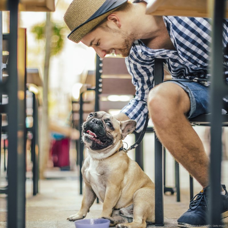 Best Dog Friendly Restaurants Orlando