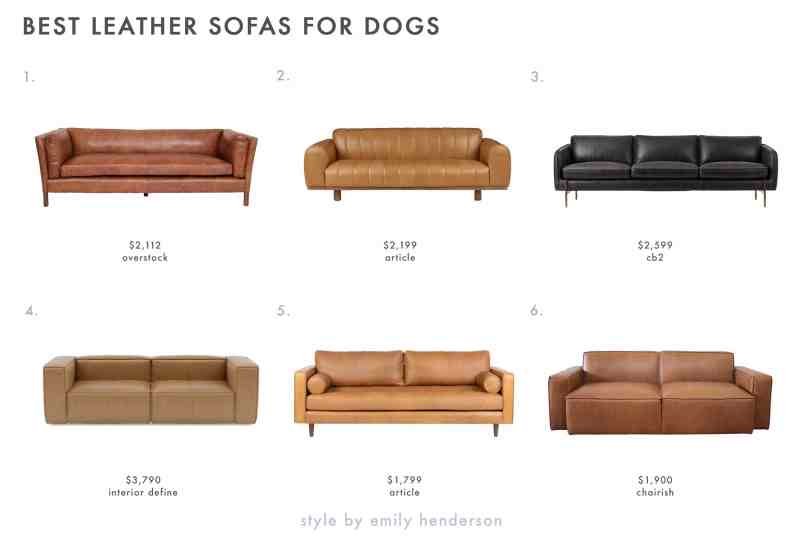 Best Dog Friendly Sectionals