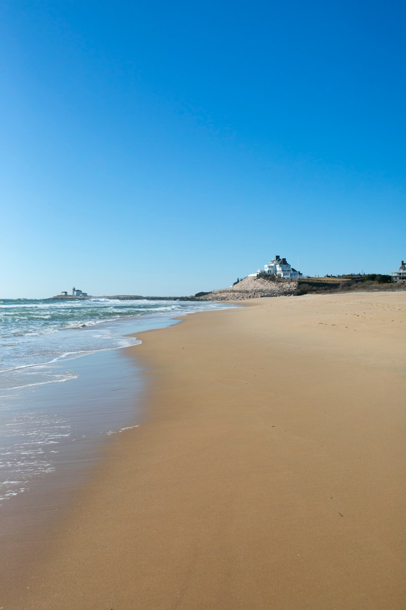 Dog Friendly Beaches East Coast Usa