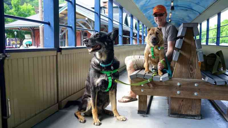 Dog Friendly Vacations Near Pittsburgh