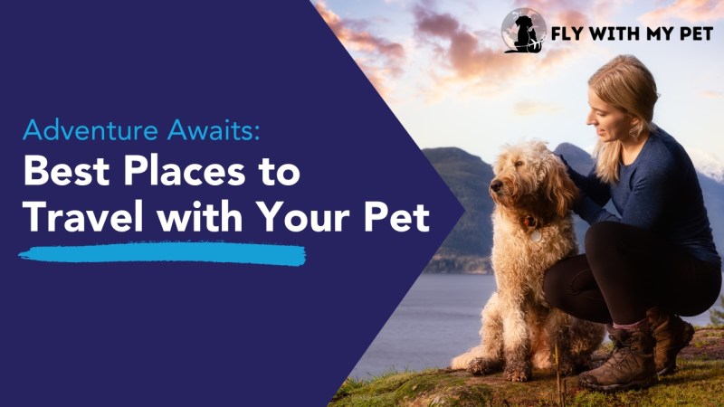 Pet Friendly Places To Visit Near Me