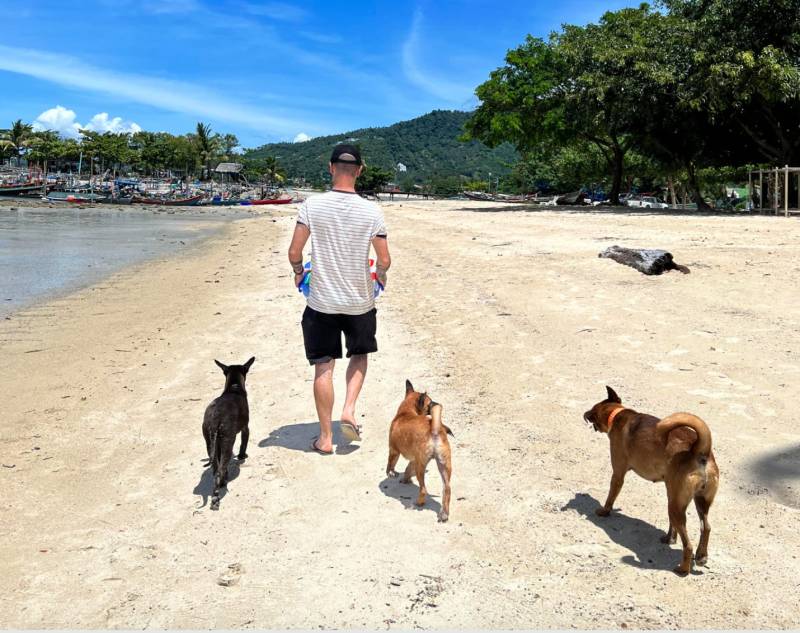 Vacations Near Me With Dogs